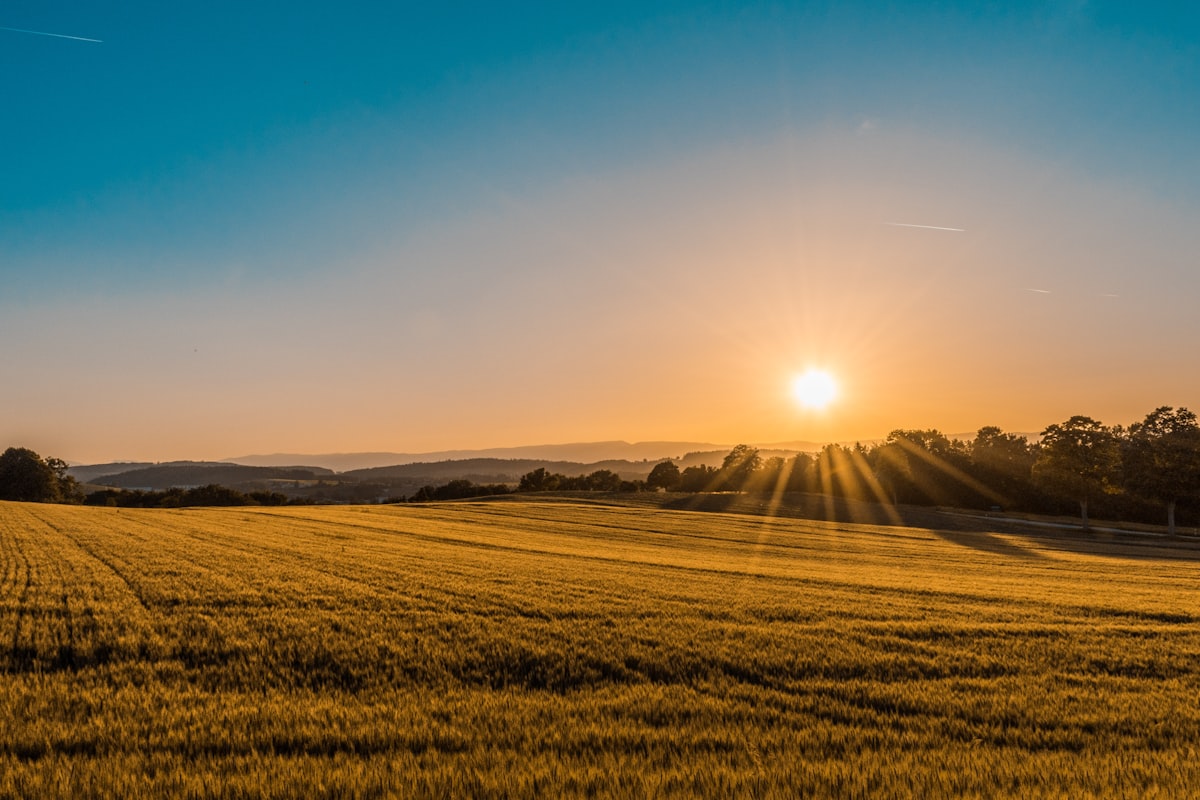 Farm field with equipment and a clear sky overhead